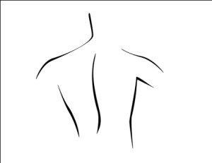 Palmer Chiropractic Logo